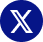 X Icon